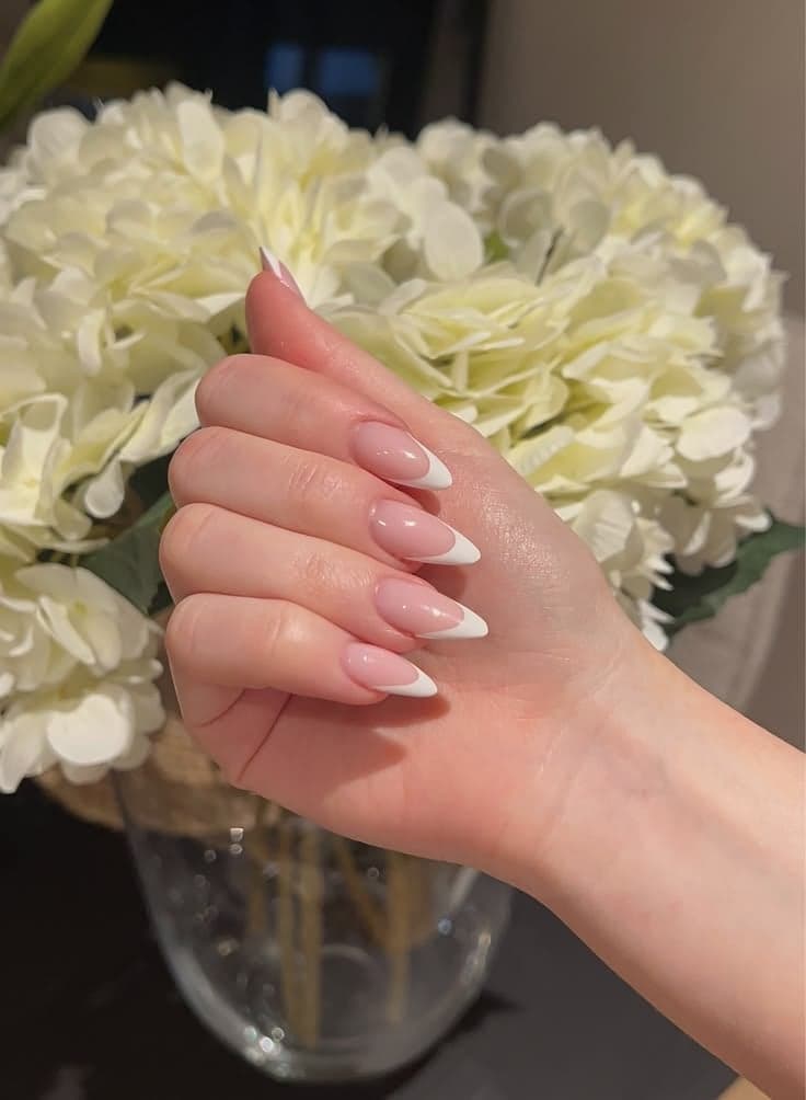 French Nails press-on nails collection